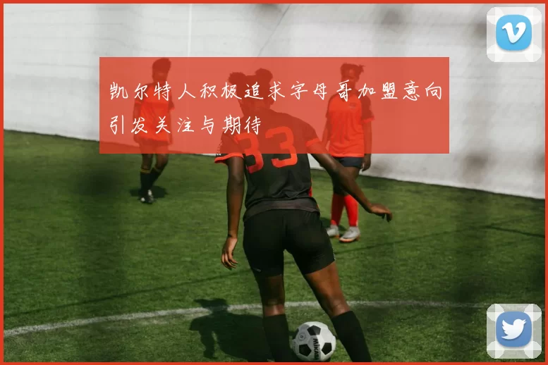 凯尔特人积极追求字母哥加盟意向引发关注与期待